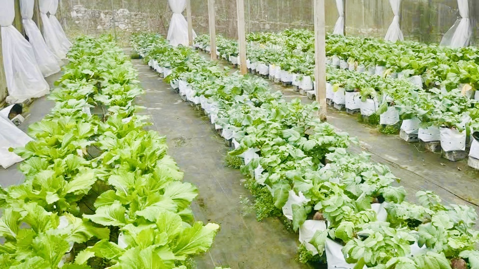 Trải nghiệm