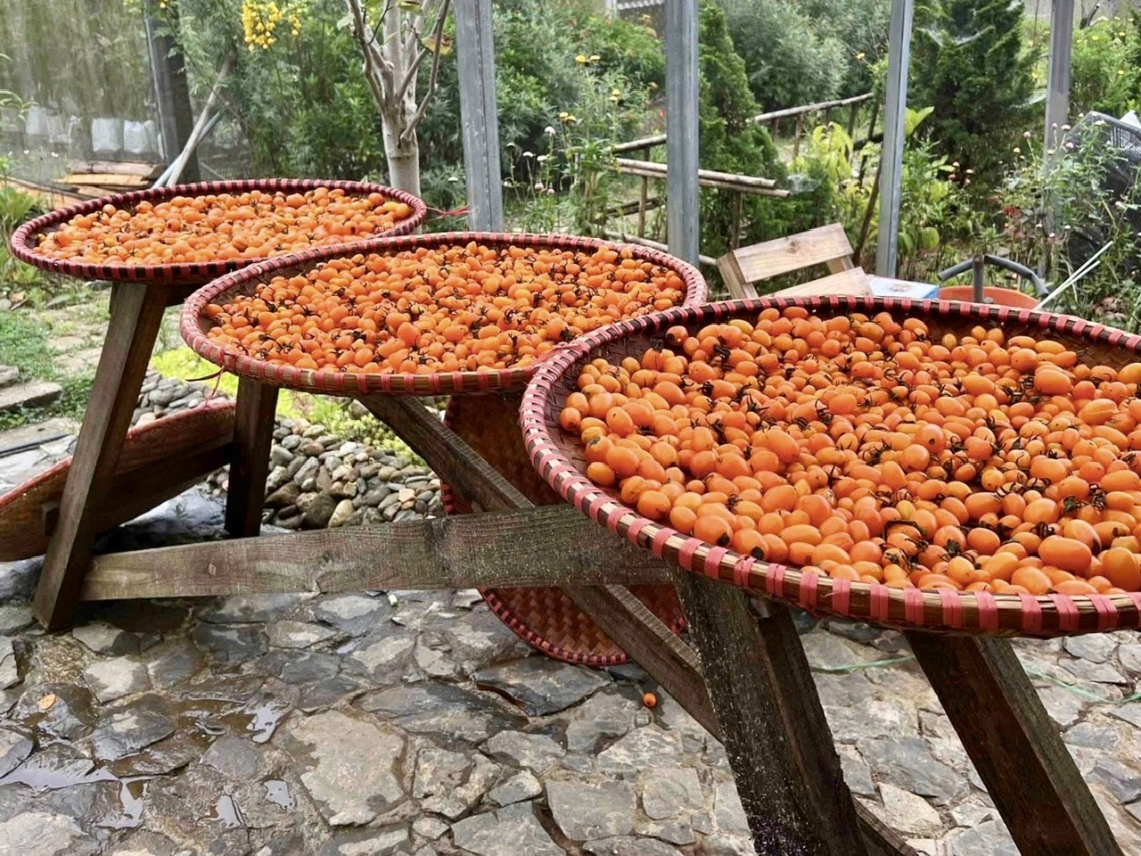 Nông nghiệp